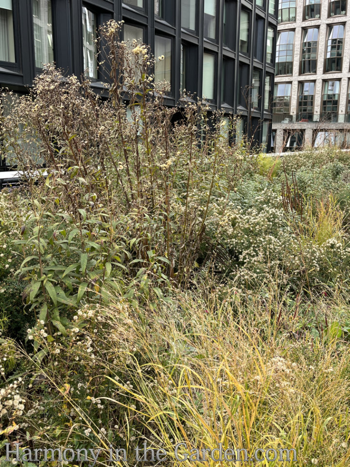 high line autumn garden