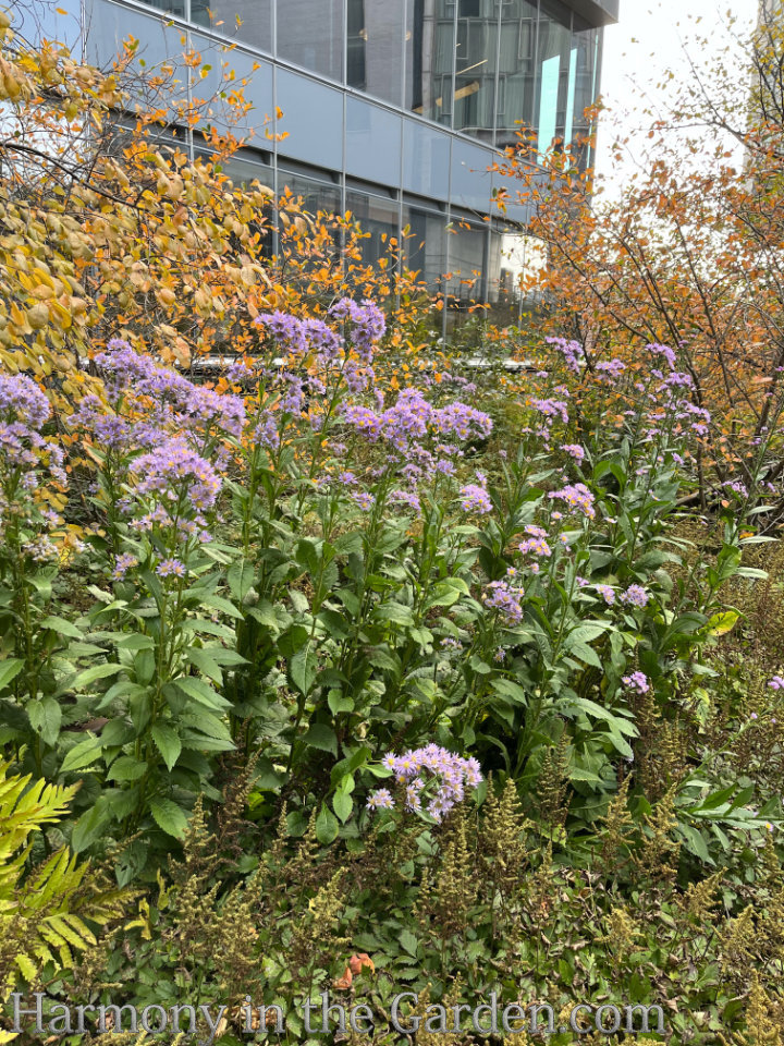 high line autumn