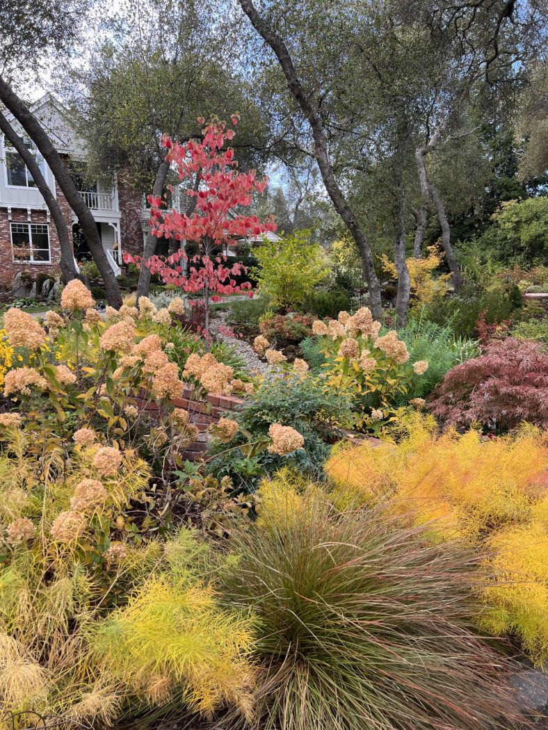 Front Entry Garden Makeover