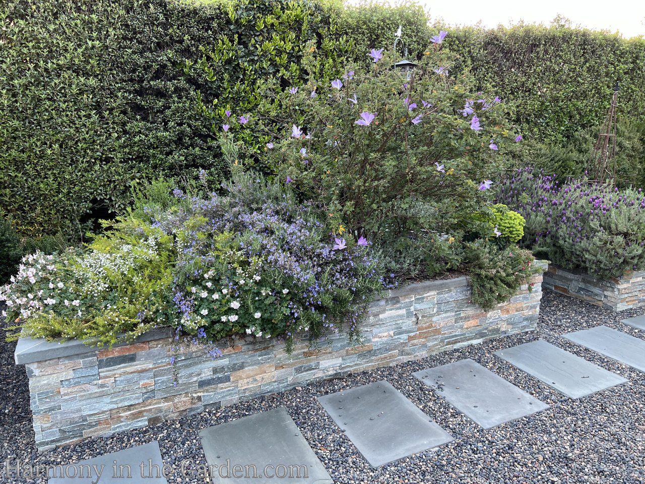 Turning a pool into a garden