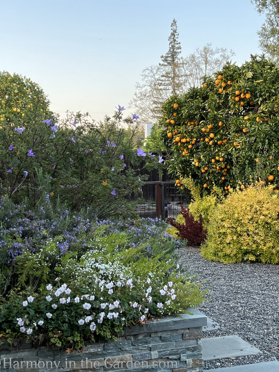 Turning a pool into a garden