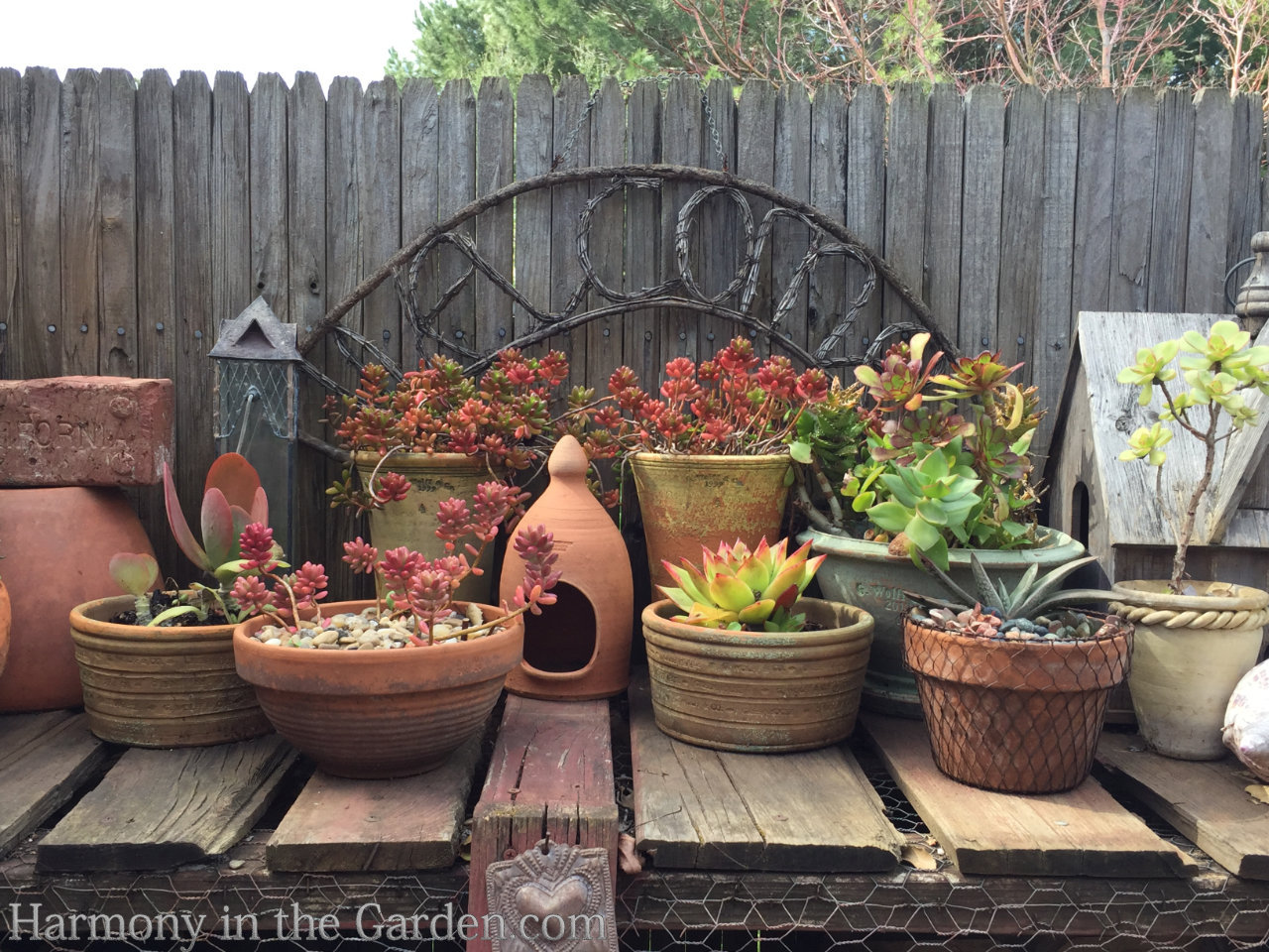 rustic potting bench