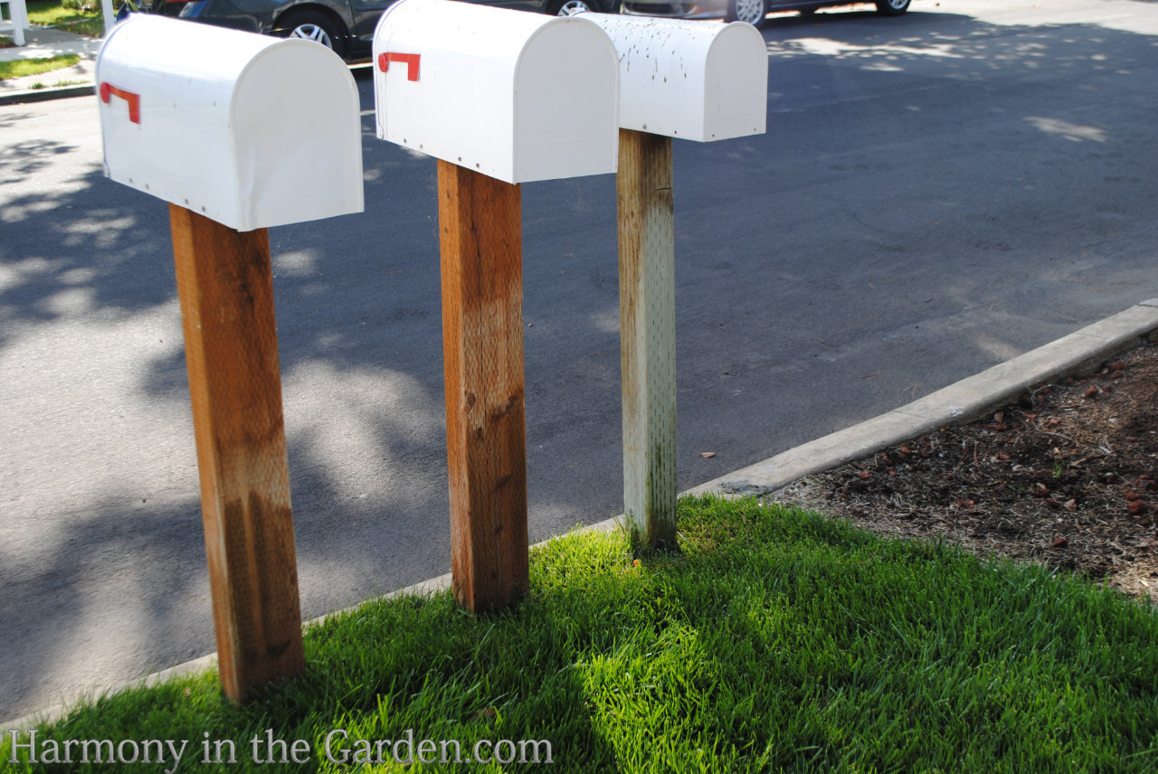 hellstrip mailboxes