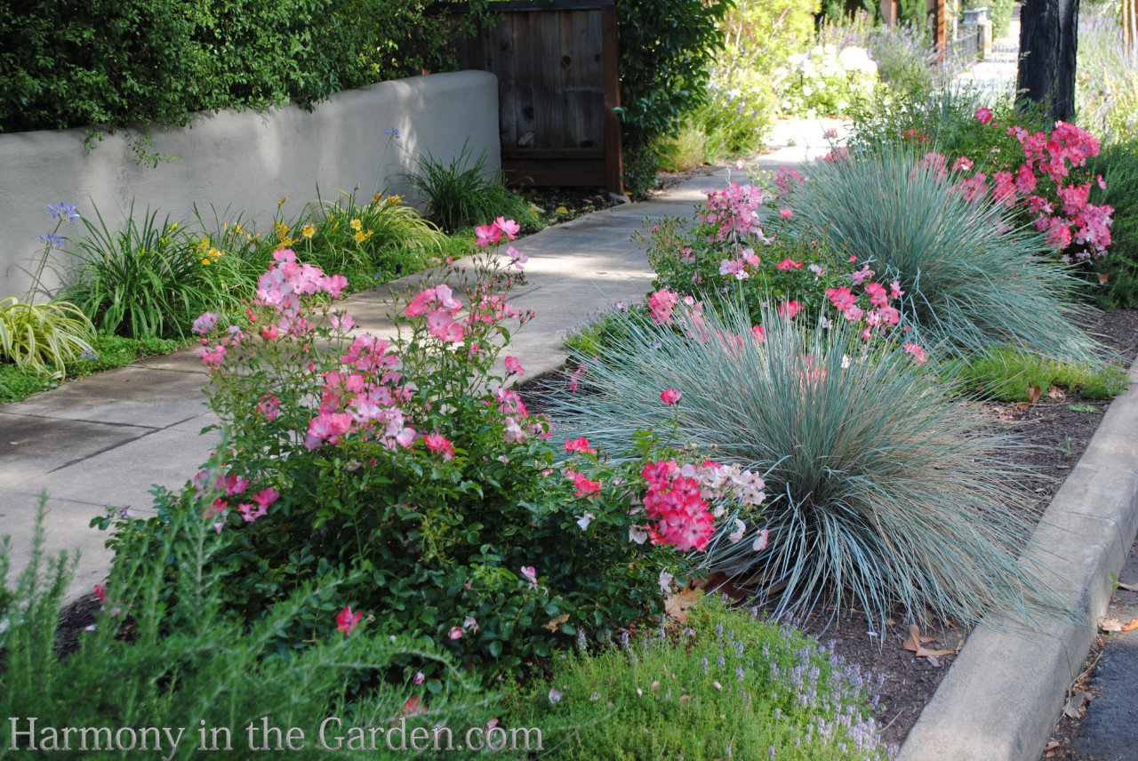 Top 10 delta shadow garden ideas and inspiration