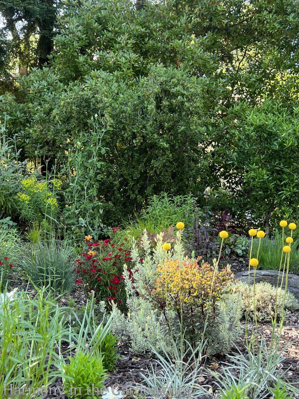 light and airy flowers