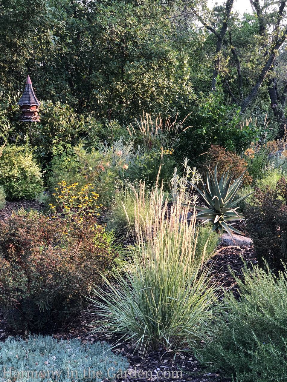 Designing a modified meadow