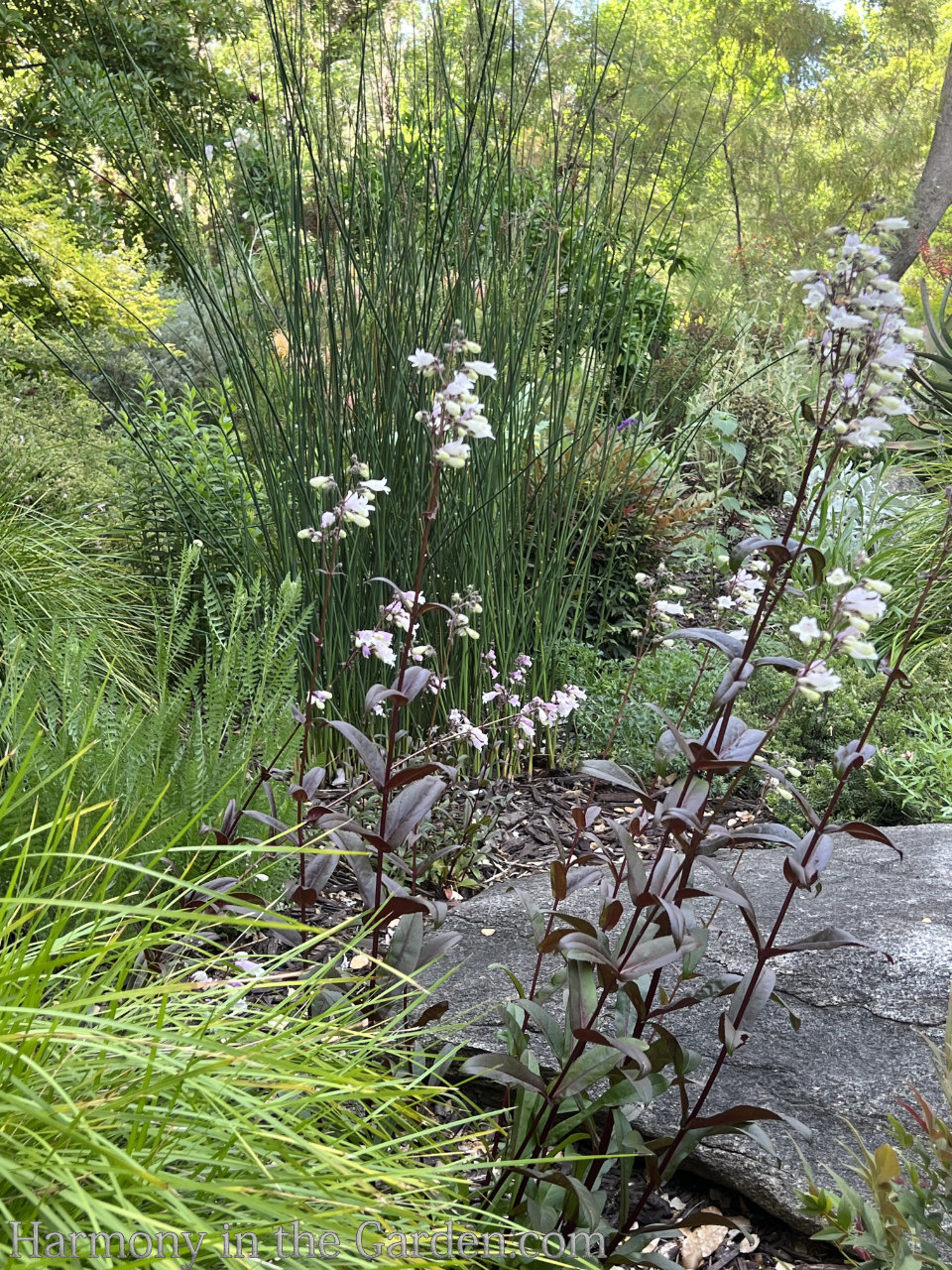 Designing a modified meadow