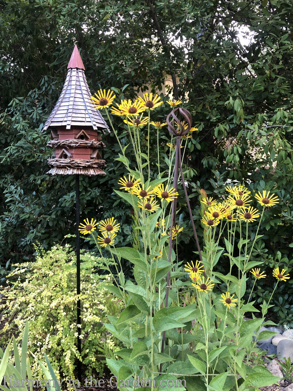 Designing a modified meadow