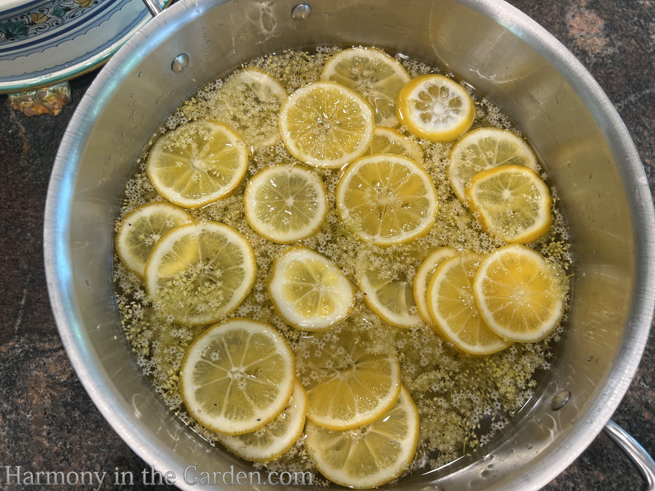 elderflower recipe
