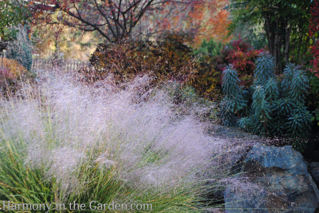 pink color fall garden