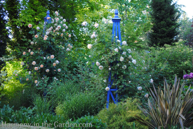 blue in the garden