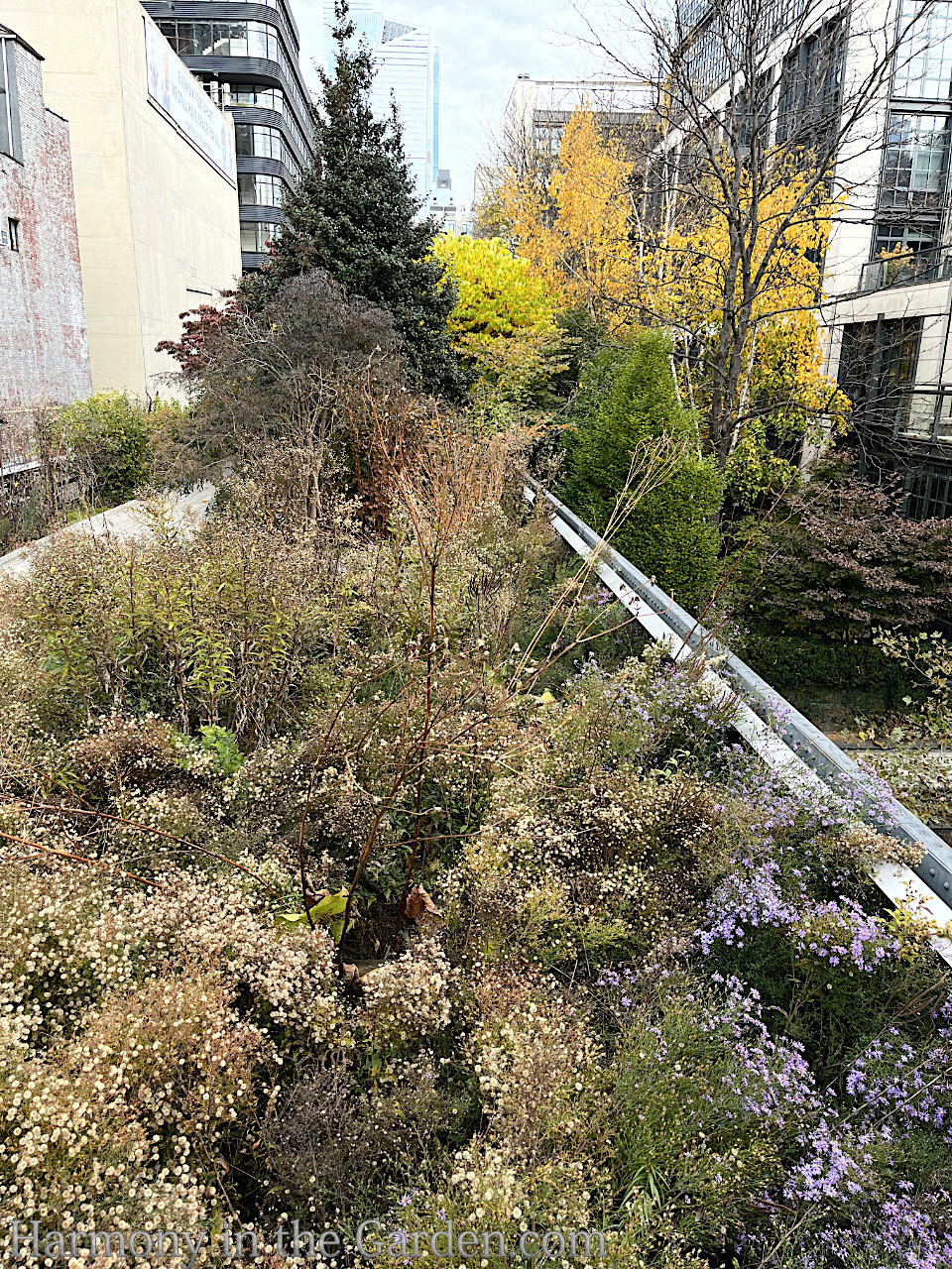 mindful fall cleaning high line garden