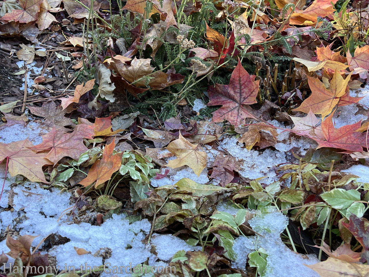 mindful fall cleanup