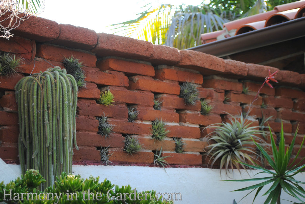 Transform a Tiny Patio