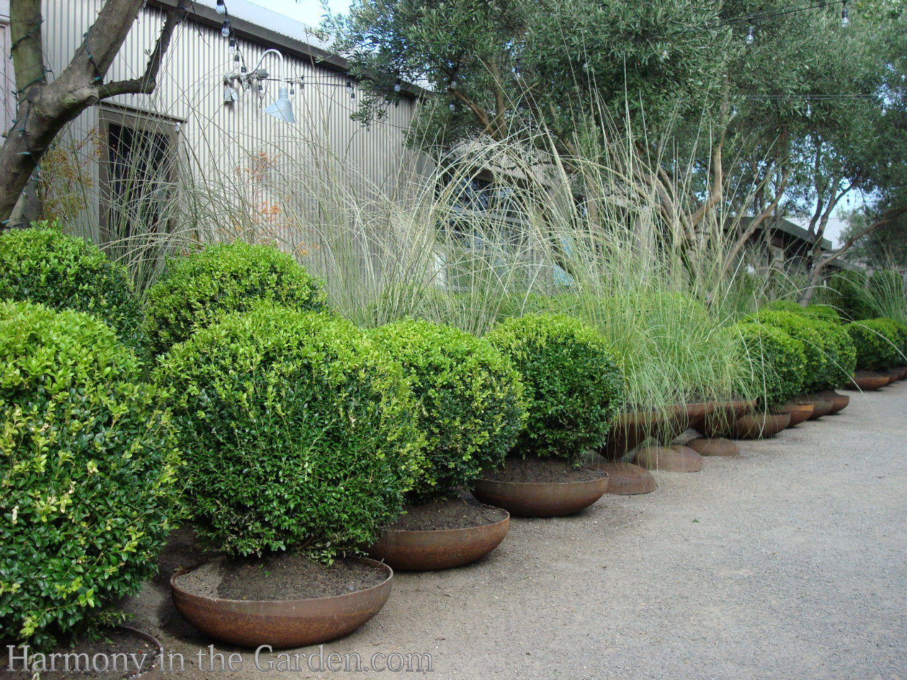 repurposed containers