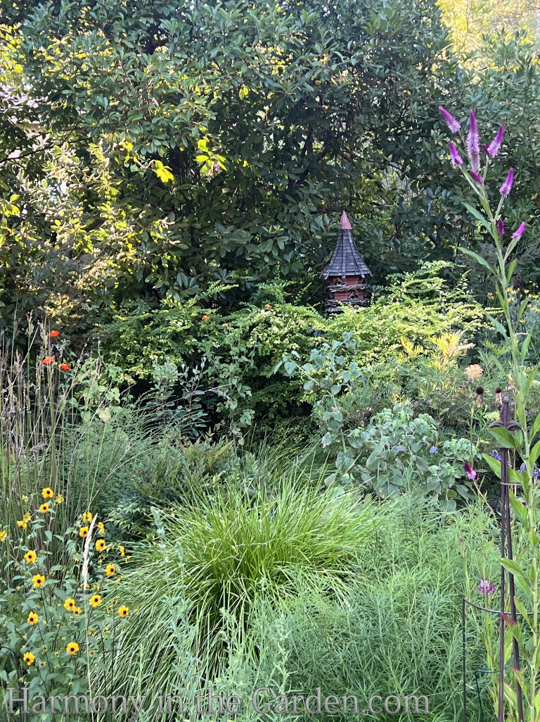 tall pink flowers