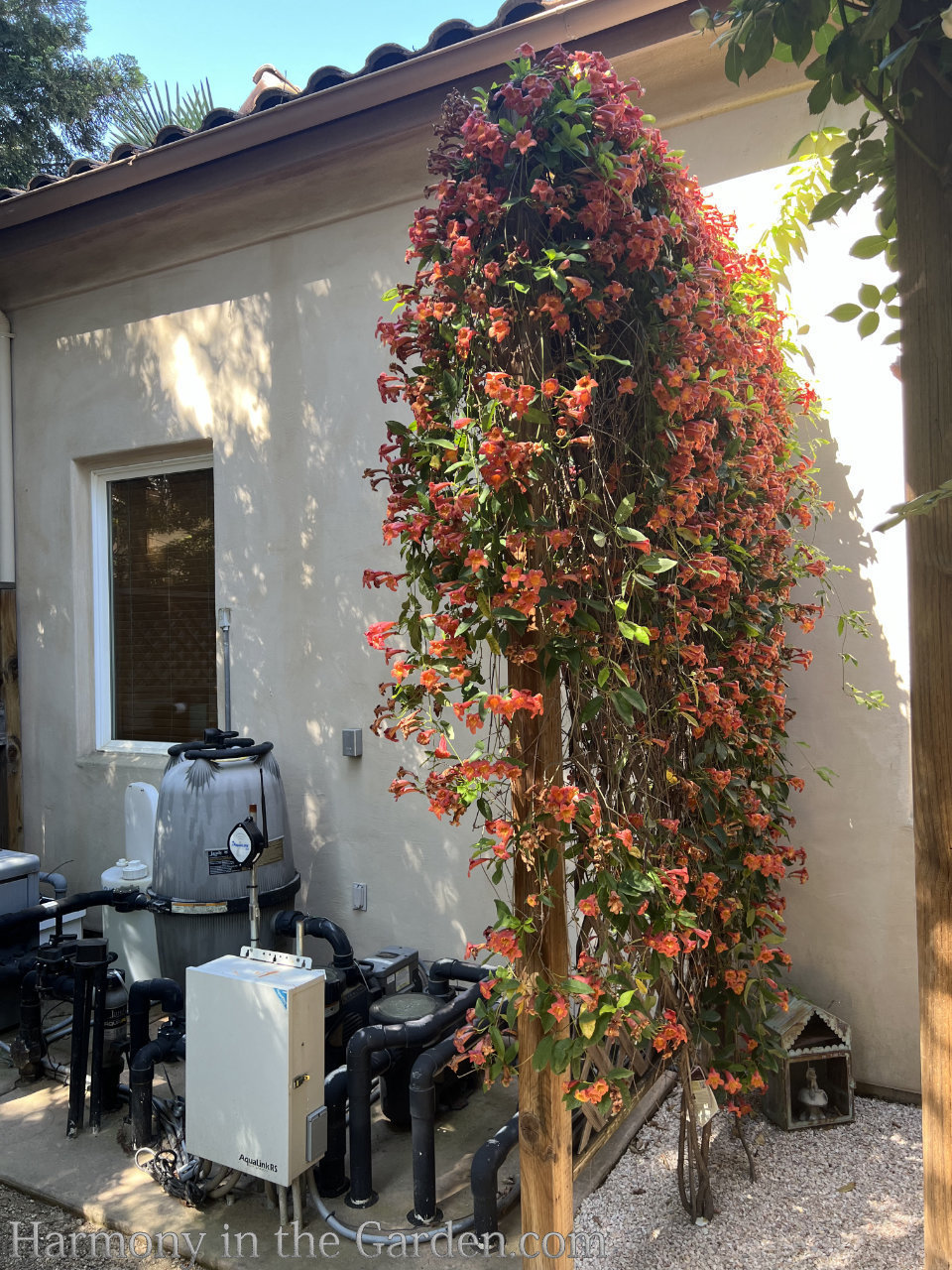 garden tour ideas