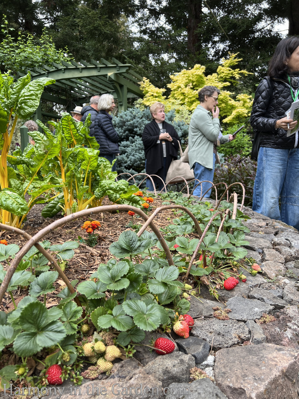 garden tour ideas