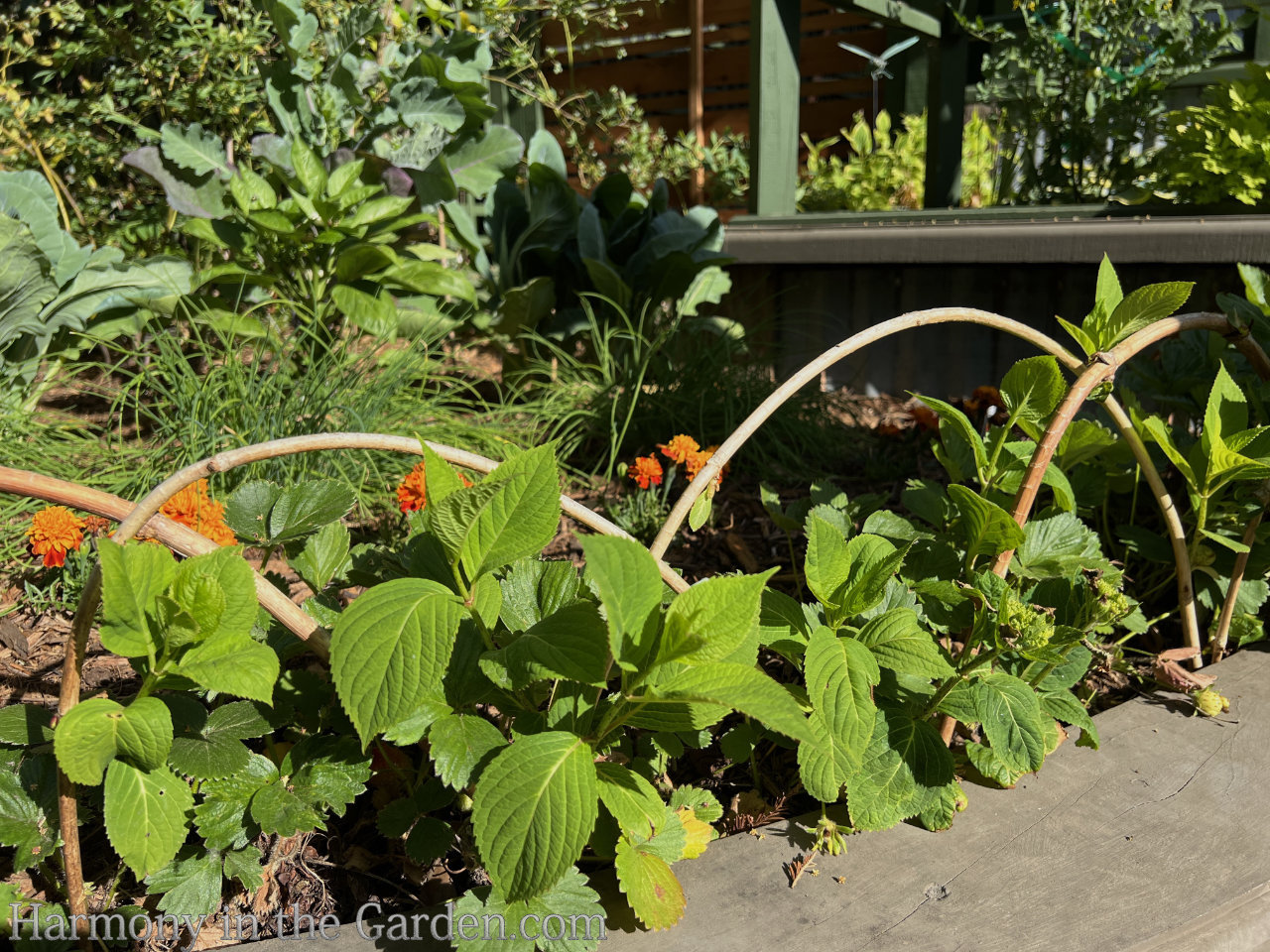 garden tour ideas inspiration