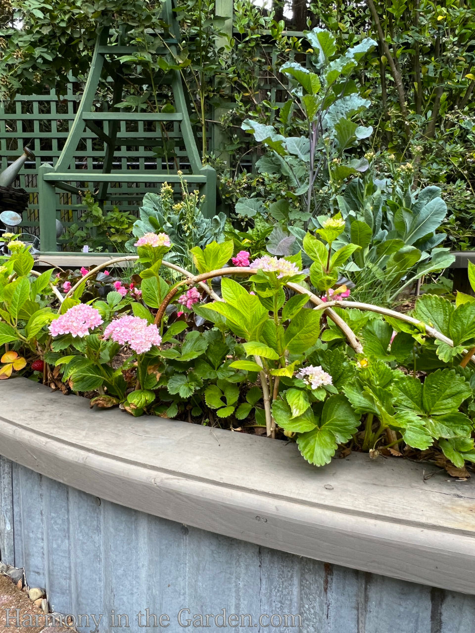 garden hacks