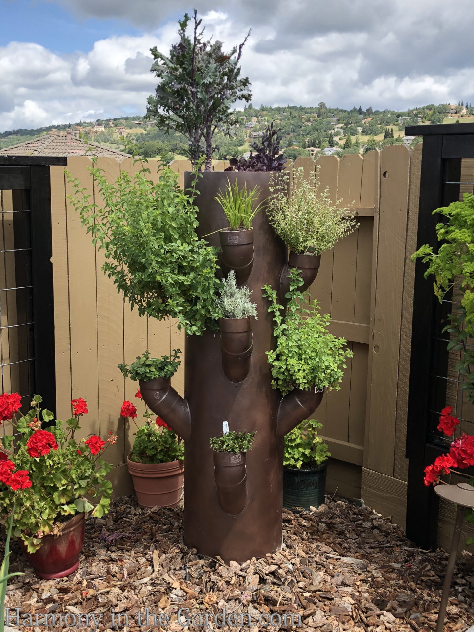 garden tour ideas