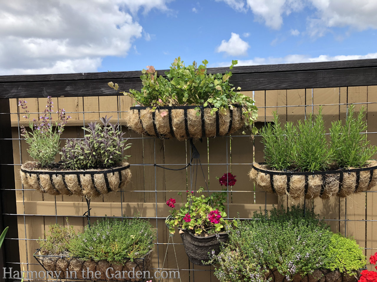 garden tour inspo