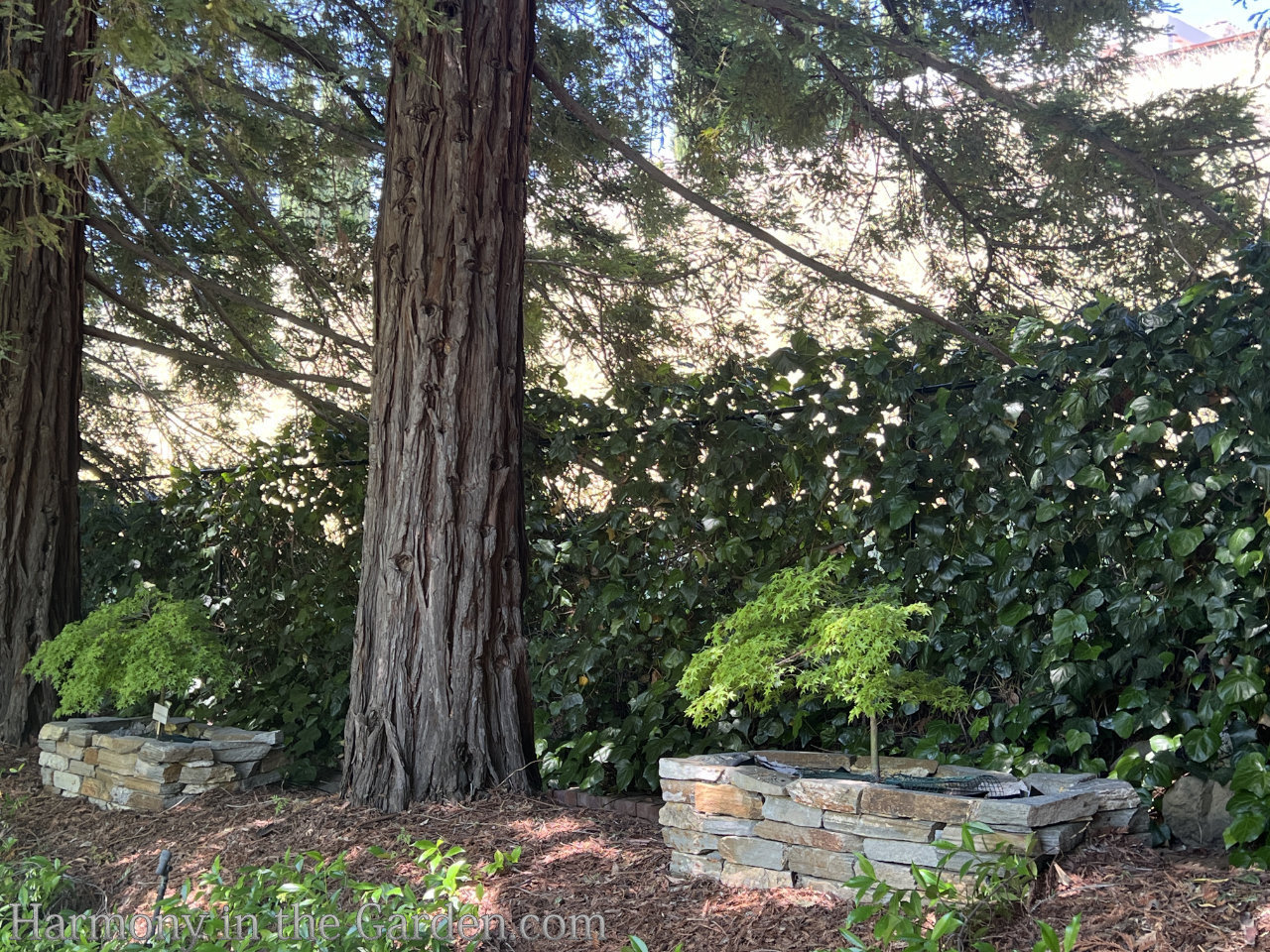 garden tours