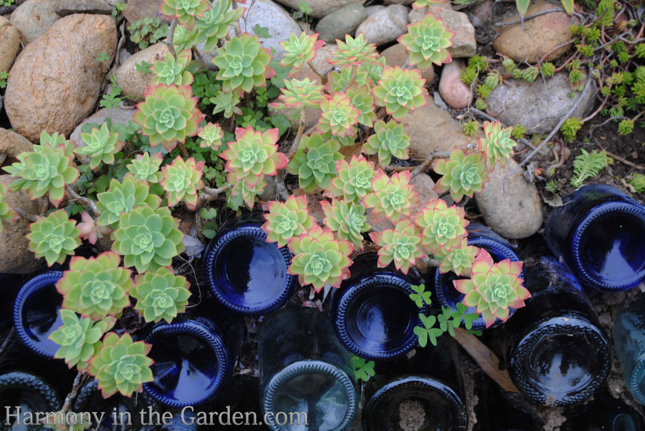 garden tour inspiration