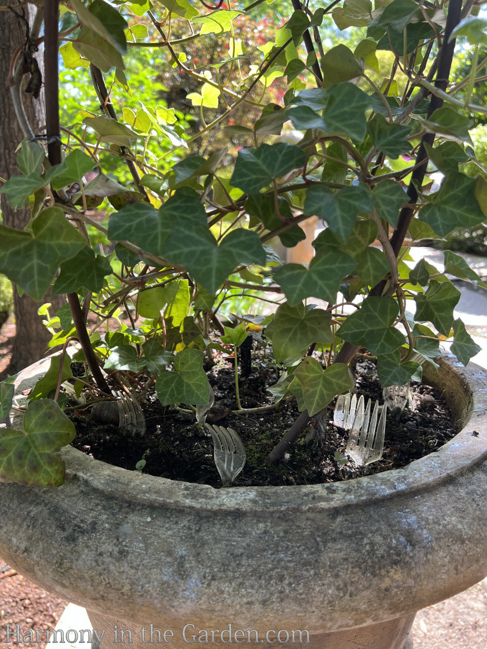 garden tours