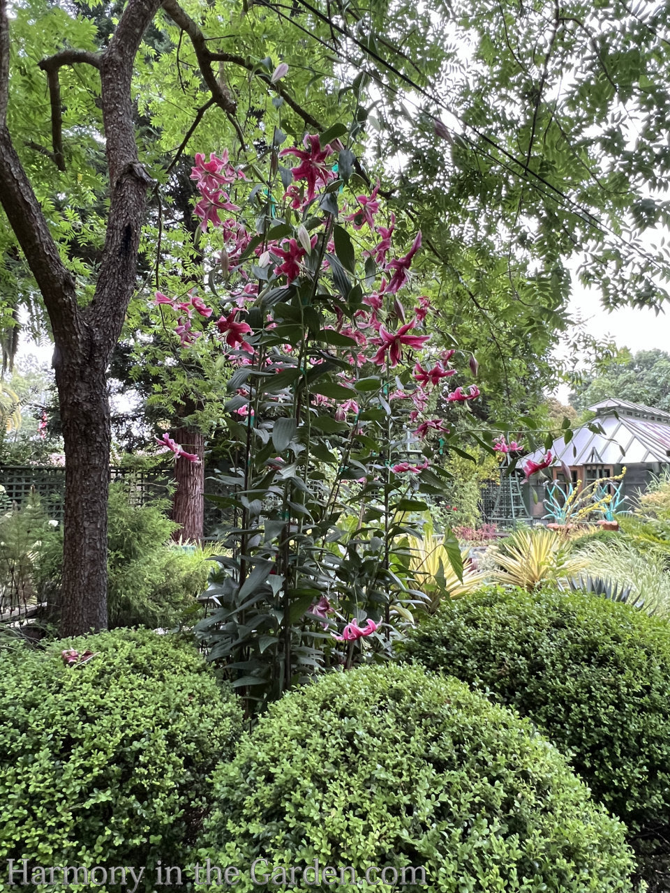 garden tour hacks