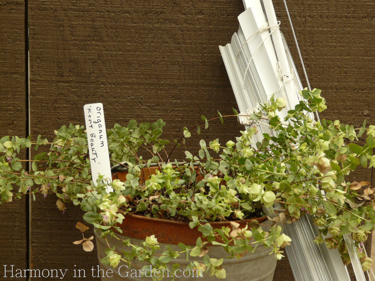 garden tour inspiration