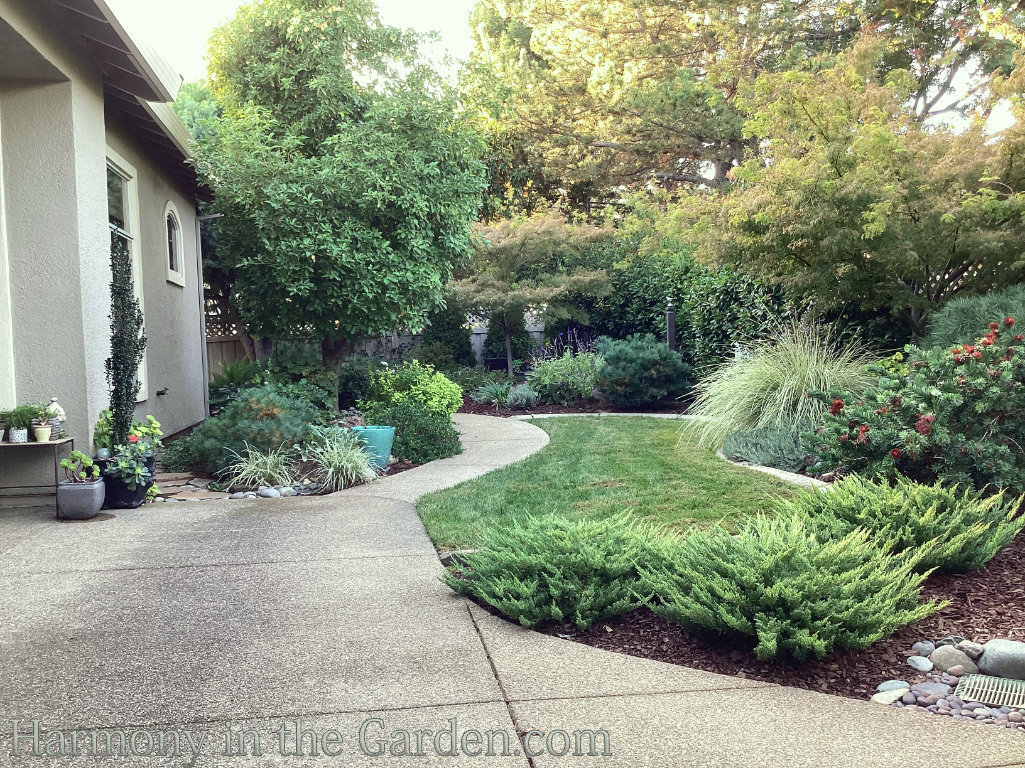 small hoa garden