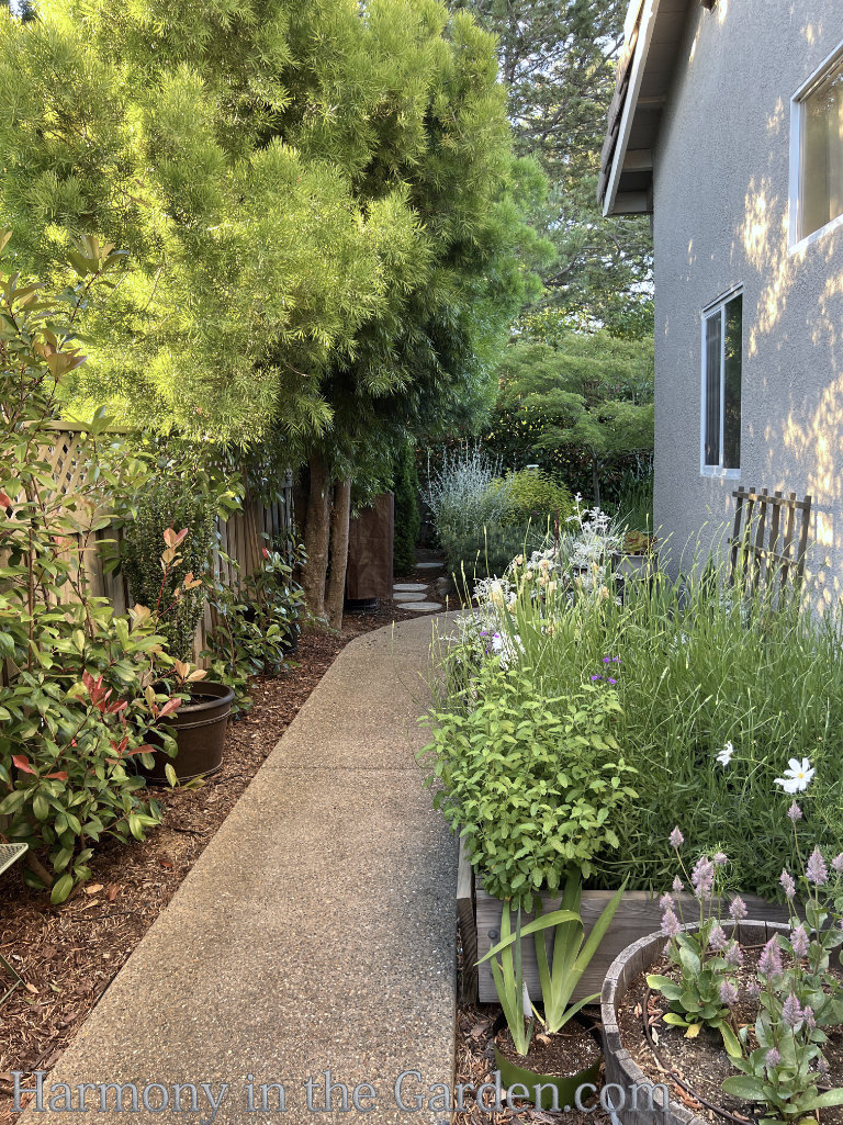 HOA garden sideyard