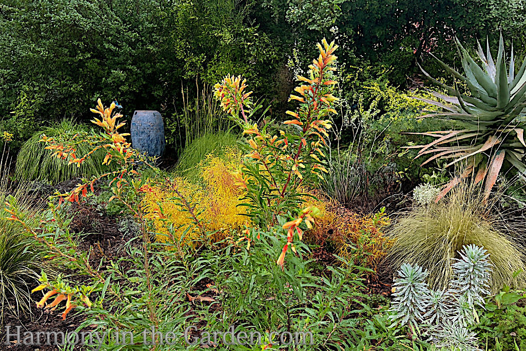 hardy resilient plants fall