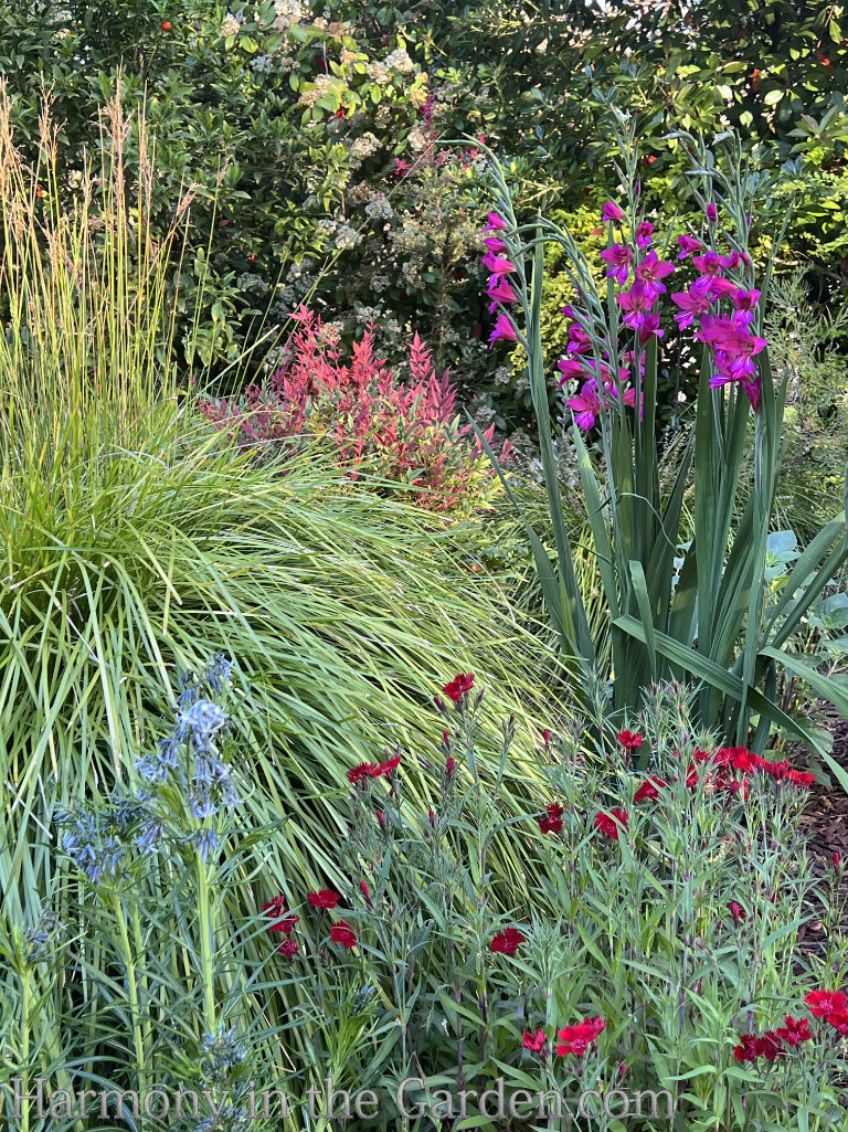 hardy resilient plants