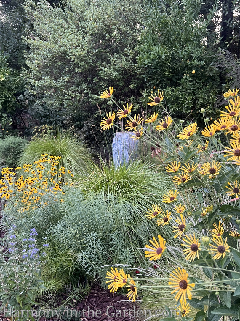 late summer garden