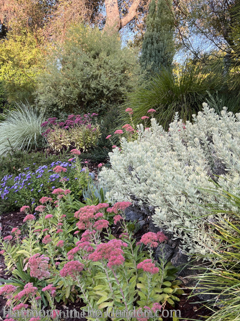 late summer garden