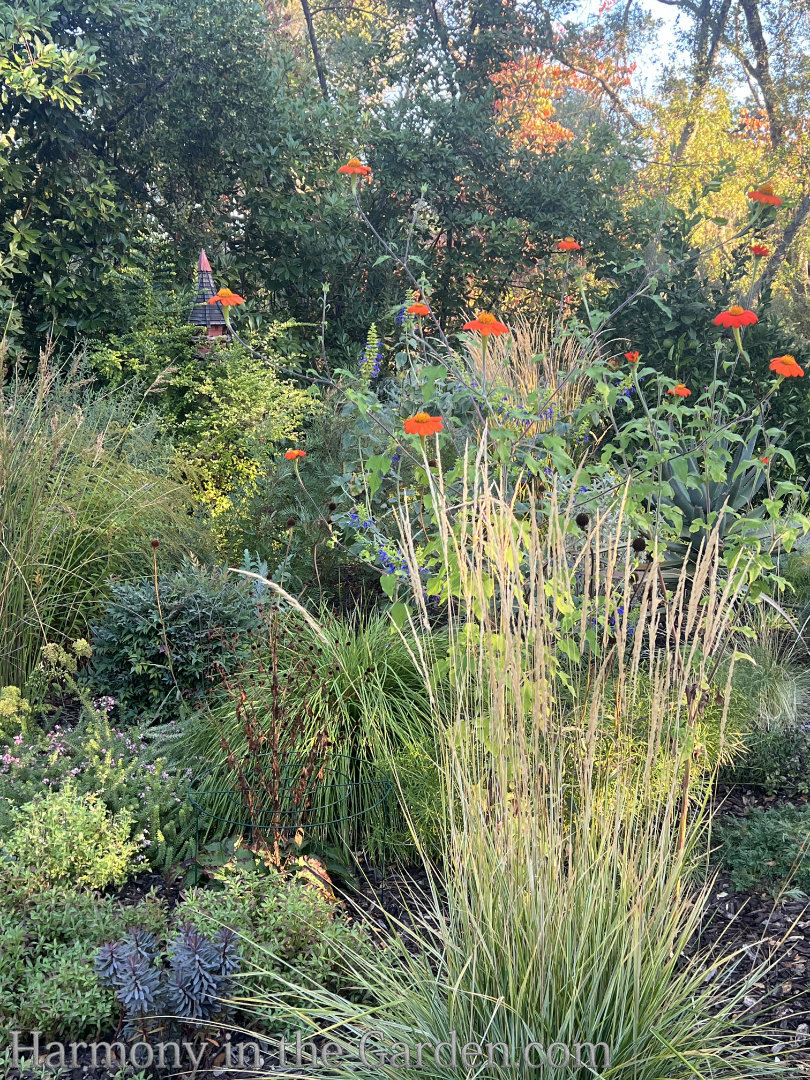 late summer
